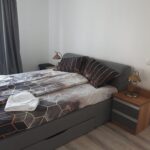 Cazare Apartament Baile Felix